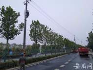 合肥新站高新區(qū)3條道路集中“拔桿”  高壓桿線入地