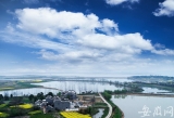 潮涌长三角|桐城蟠龙村：打造农业旅游产业基地 村子美了村民富了