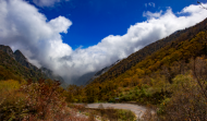 凌澤泉 ：藍墨水