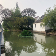 環(huán)境美、產業(yè)旺、文化興、村民富  解碼浙江海鹽的鄉(xiāng)村振興實踐路徑