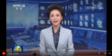 [视频]国家安全机关破获数百起台湾间谍情报机关窃密案件