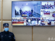 宣城：宣州法院遠(yuǎn)程連線 開庭審理陳某等29人涉惡案