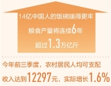 农民收入提前实现翻番目标（新数据 新看点）