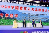 2020宁国黄花云尖品牌推介会（合肥）圆满举行