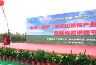 全椒獲“中國碧根果之都”美譽 “一粒果”成為特色支柱、富民產業 
