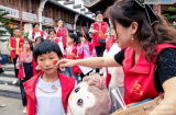 阜阳孝心少年合肥行系列报道之④ | 镜头下的春燕
