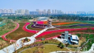 夠潮夠創意！合肥青年創意田園迎接市民（組圖）