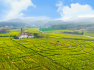 安徽新增2處“綠水青山就是金山銀山” 實(shí)踐創(chuàng)新基地