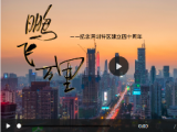 鹏飞万里——纪念深圳特区建立四十周年