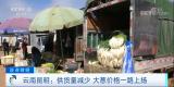 疯狂的大葱！几天内价格涨两倍 “葱”忙涨价为哪般？ 