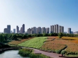中国城市竞争力报告发布 来看看安徽各市表现