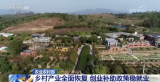 农业农村部：我国乡村产业全面恢复 返乡留乡农民工就业渠道有效拓宽