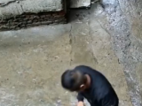 合肥：男子用油漆喷涂摄像头预谋作案 有多次违法犯罪前科