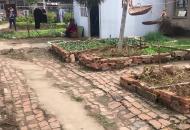 只因飯沒煮熟，68歲老人遭兒子暴打！事發長豐縣