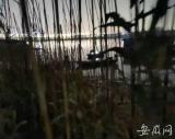 无为破获3起非法捕捞水产品刑事案件 抓获3名犯罪嫌疑人