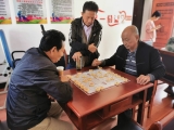 十四运会围棋、象棋、国际象棋比赛将于7～8月在肥举行