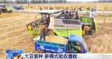 全国多地农作物迎来丰收 大规模机械作业正在陆续展开