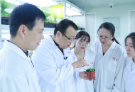中國科大兩項科研成果同時在《科學》雜志刊發 成果二）植物如何抵抗病毒？科學家發現植物干細胞廣譜抗病毒機制