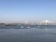 長江流域重點水域“十年禁漁”全面啟動