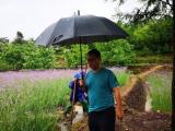 年度新闻人物回访|抗洪烈士甘磊妻子： 带着爱和希望出发，自己会是丈夫的骄傲