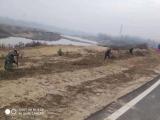 韩摆渡镇陆集村：积极开展人居环境整治行动