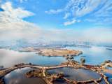 铜陵西湖城市湿地公园