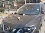 小區內停車遭抹糞  肇事者道歉并賠償7500元