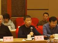 專家學者為長豐縣埠里宋代家族墓地發掘建言獻策