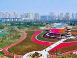 12月30日起，合肥市区禁行道路车辆将启用电子通行证