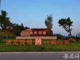 联动“一盘棋” 形成“大合唱” 青阳陵阳镇全域推进人居环境整治