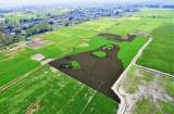 铜陵市两县（区）获评美丽乡村建设先进县