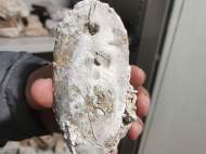 黃山屯溪老大橋發現古代石制吊線錘   將進行水下考古發掘