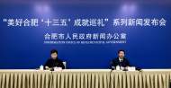 “十三五”期間，合肥財政支出都花在了哪兒？