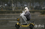 寒潮来袭  合肥市民冒雪出行（组图）
