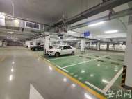 網友建議省交通廳停車場錯時對附近居民開放獲官方回復