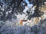 春节期间游九华山有哪些要求？景区发最新公告