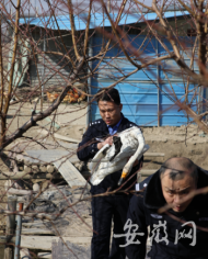 “淮南蔡城塘野生天鵝不明原因死亡”后續：尸體內檢出農藥殘留物