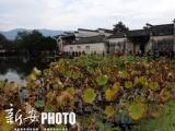 黄山市加快四个县区同城化，依法稳妥适时调整行政区划