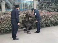 萧县一男子醉倒昏睡路边绿化带 离家不过几十米远