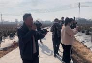 從負債累累到集體收入80多萬元 無為這個村有作為
