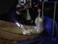 新安江禁漁！歙縣查處多起非法捕撈行為