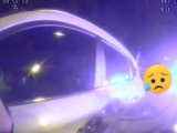 合肥一家长心真大！把俩孩子锁车内两小时