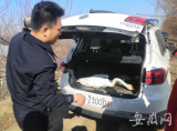 ?淮南天鵝死亡后續：警方已抓獲一名嫌疑人