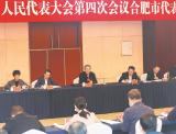 直通安徽省两会|李锦斌参加合肥代表团审议