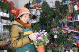 选购鲜花迎新年  巢湖市场年味渐浓
