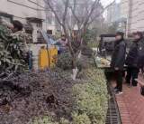 居民舉報小區有違建，城管上門拆了它