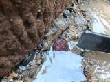 重大发现！黄山市屯溪老大桥桩基发现3枚民国初期双旗铜币