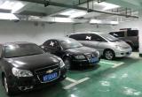淮北25辆公车1月27日拍卖  帕萨特2000元起 