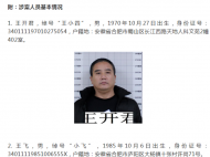 懸賞10萬！合肥警方公開征集“王小四”團伙違法犯罪線索