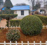 肥西縣山南鎮(zhèn)人人爭(zhēng)做家園“美容師”